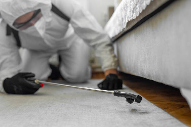 Professional Bed Bug Control technician working in Highlandville, MO
