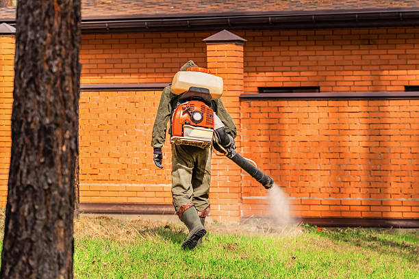Trusted Bed Bug Control service in Highlandville, MO - Nex Pest Control